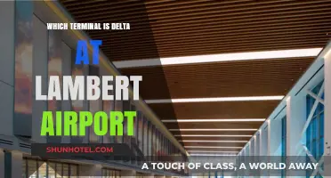 Navigating Lambert Airport: Locating Delta's Terminal Made Easy