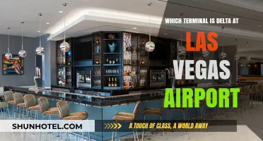 Navigating Las Vegas Airport: Locating Delta's Terminal Made Easy