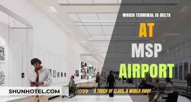 Navigating MSP Airport: Locating Delta's Terminal Made Easy
