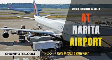 Navigating Narita: Unveiling Delta's Terminal Location