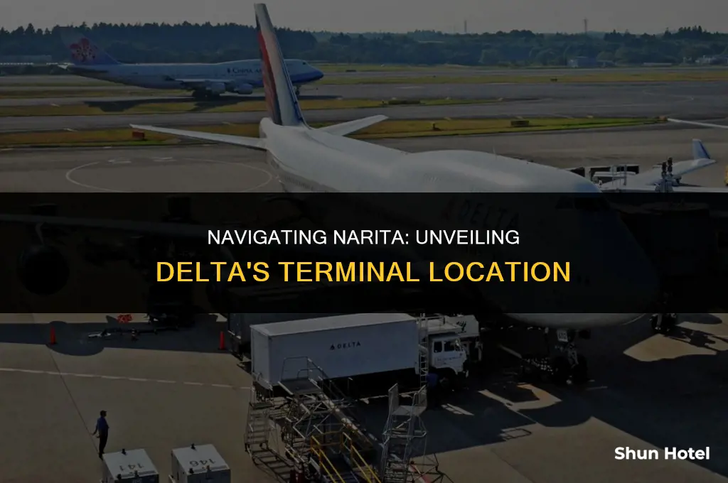 which terminal is delta at narita airport
