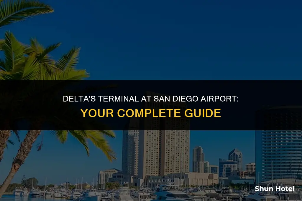 which terminal is delta at san diego airport