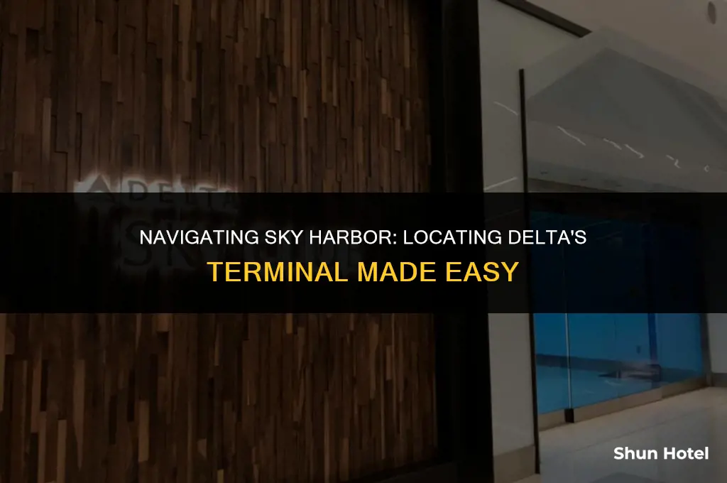which terminal is delta at sky harbor airport