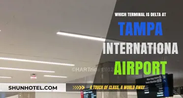 Delta Airlines Terminal Guide: Navigating Tampa International Airport with Ease