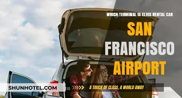 Exploring San Francisco: Your Guide to Elvis Rental Car Terminals at SFO