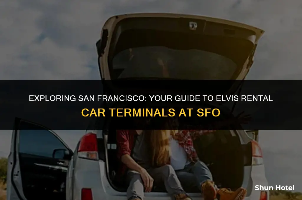 which terminal is elvis rental car san francisco airport