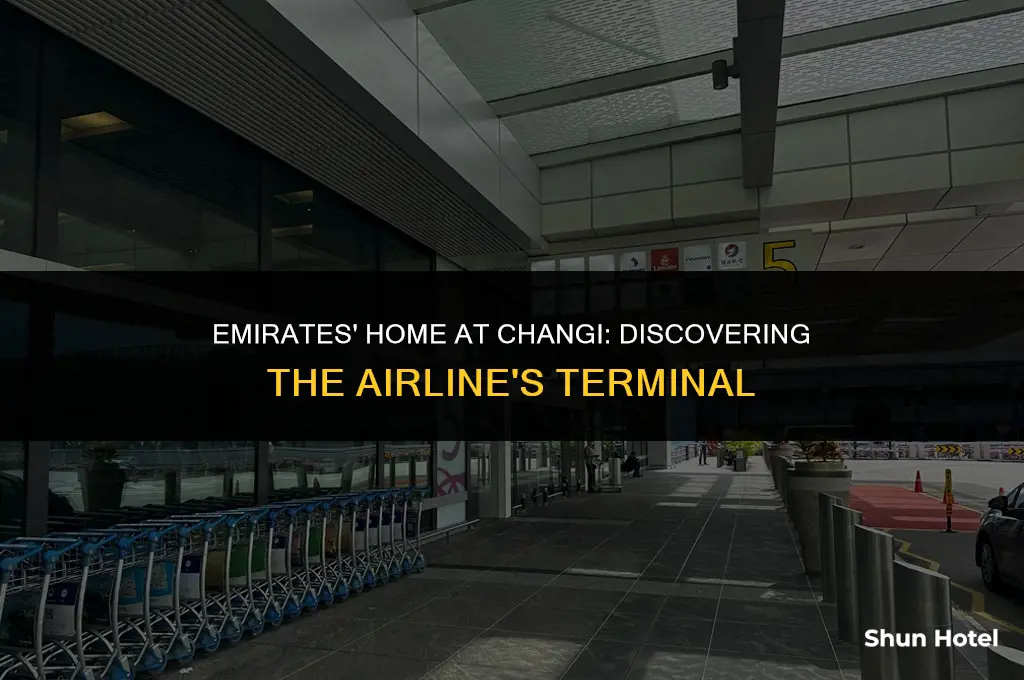 which terminal is emirates at changi airport