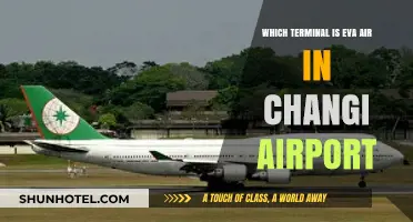 Exploring Changi: A Guide to EVA Air's Terminal Location