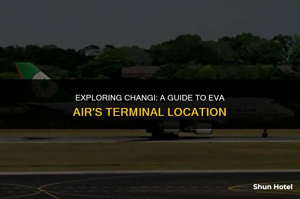 which terminal is eva air in changi airport