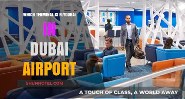 Navigating Dubai Airport: A Guide to Flydubai's Terminal Location