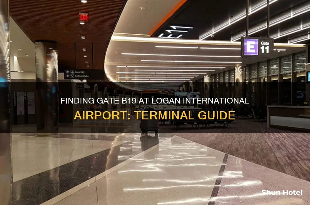which terminal is gate b19 at lpgan international airport