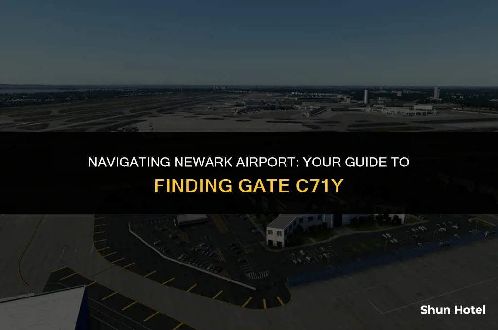 which terminal is gate c71y in newark airport