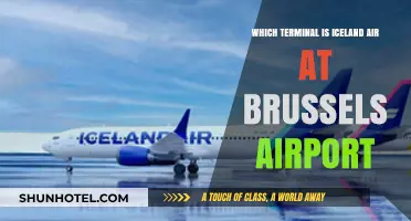 Discovering Iceland Air's Terminal at Brussels Airport: A Traveler's Guide
