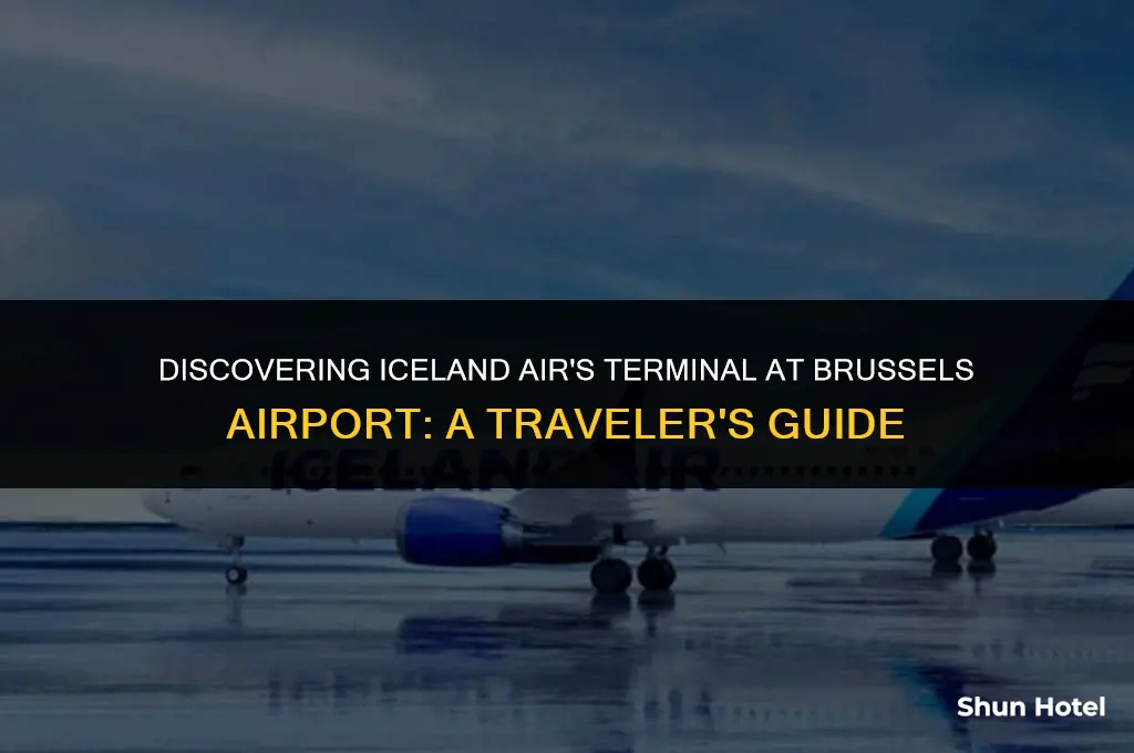 which terminal is iceland air at brussels airport