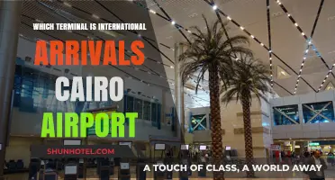 Navigating Cairo Airport: Locating the International Arrivals Terminal Easily