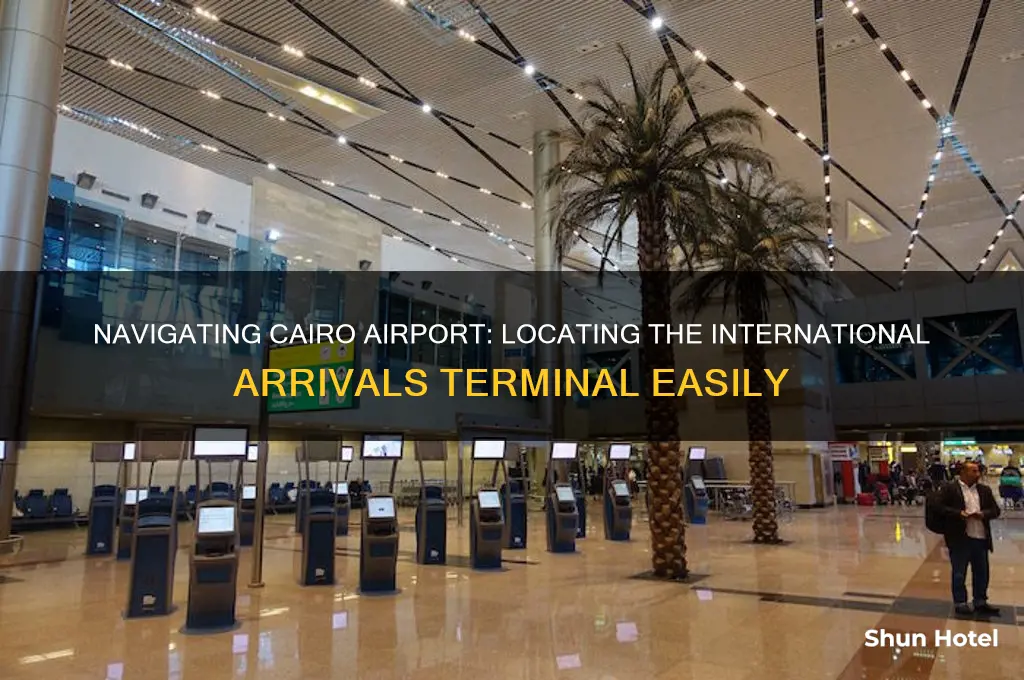 which terminal is international arrivals cairo airport