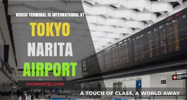 Navigating Tokyo Narita Airport: Identifying the International Terminal Easily