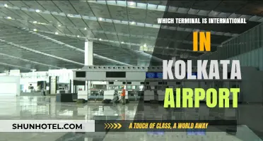 Kolkata Airport's International Terminal: A Comprehensive Guide for Travelers