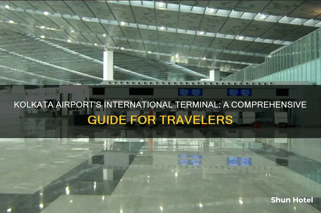 which terminal is international in kolkata airport
