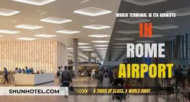Exploring Rome Airport: Locating ITA Airways Terminal