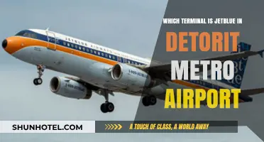 Navigating Detroit Metro: JetBlue's Terminal Guide for Travelers