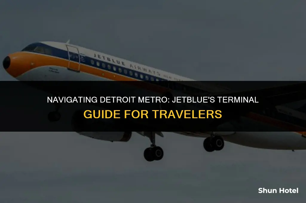 which terminal is jetblue in detorit metro airport