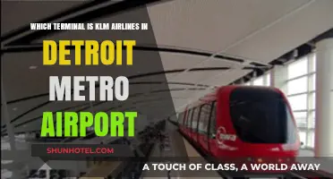 Navigating Detroit Metro: KLM Airlines' Terminal Guide