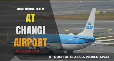 Navigating Changi: KLM's Terminal Guide for Smooth Travels