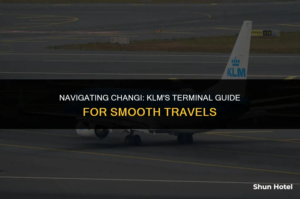 which terminal is klm at changi airport
