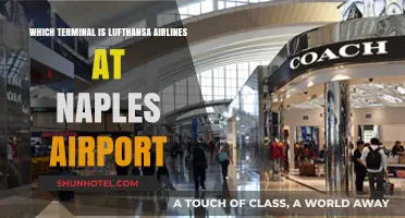 Lufthansa's Naples Airport Terminal: Your Complete Guide