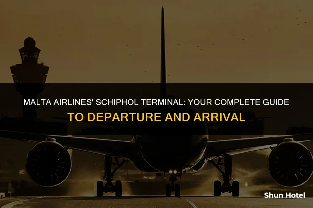 which terminal is malta airlines at schiphol airport