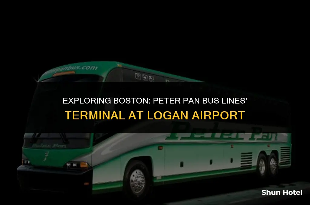 which terminal is peter pan bus lines boston logan airport
