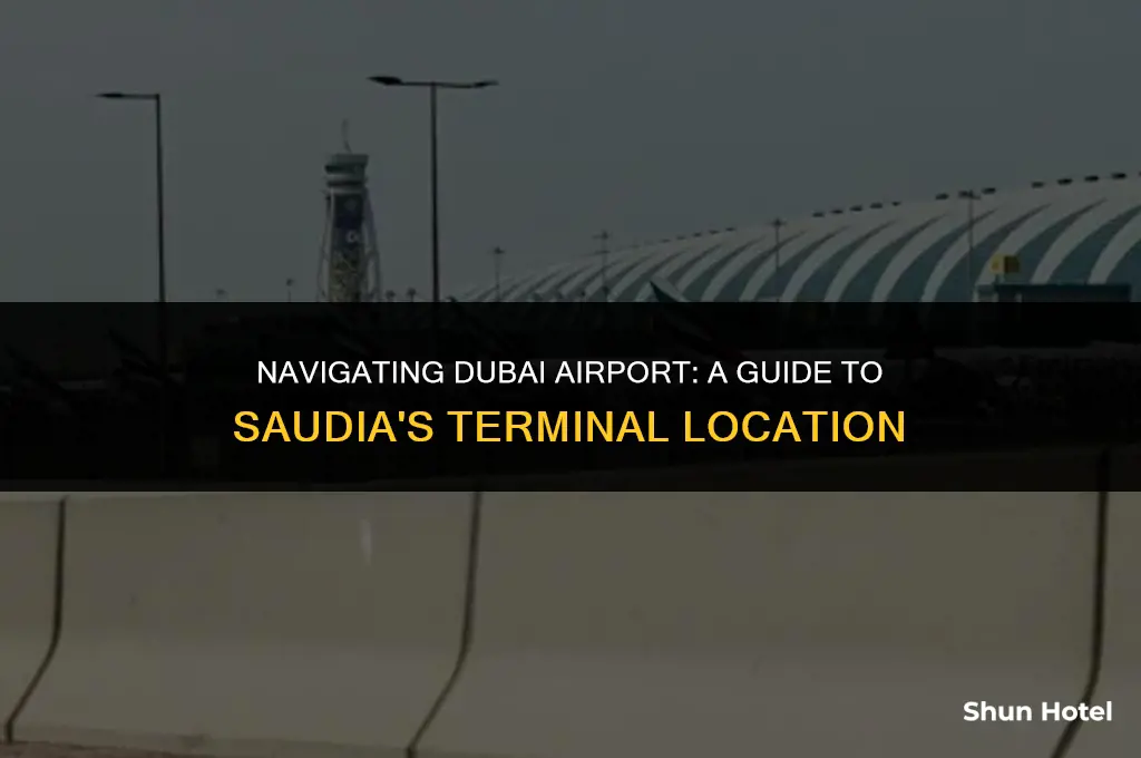 which terminal is saudia at dubai airport