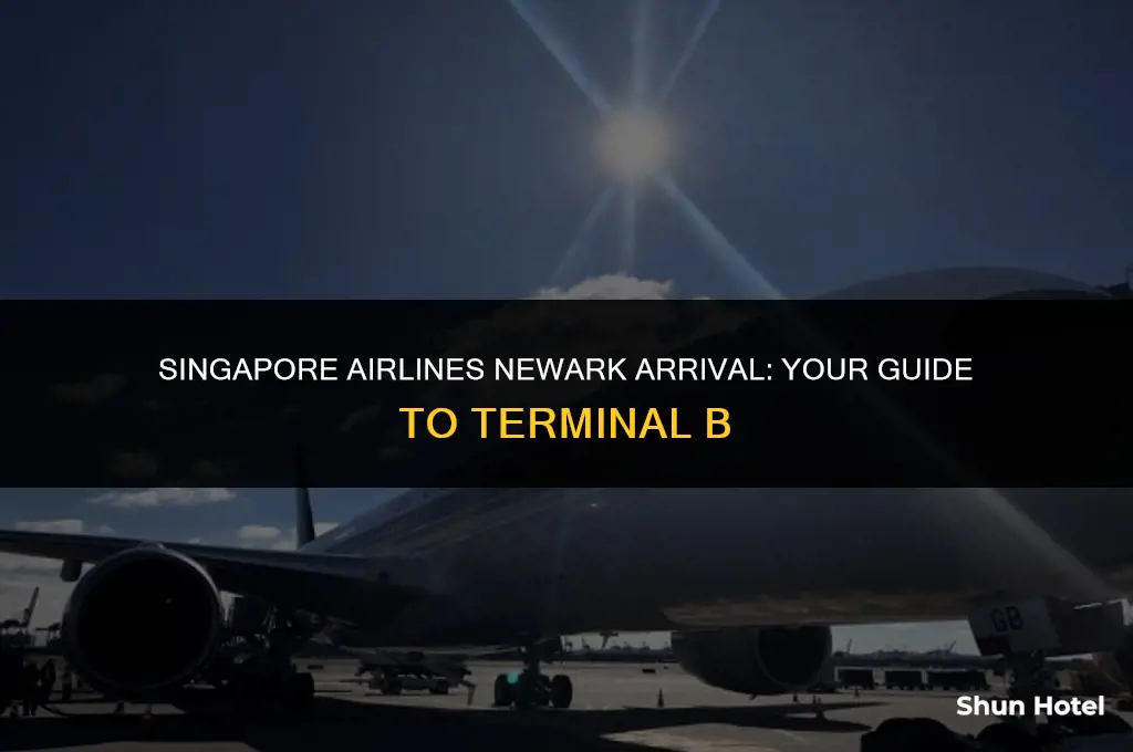 which terminal is singapore airlines arrival at newark airport