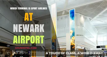 Navigating Newark Airport: Locating Spirit Airlines' Terminal