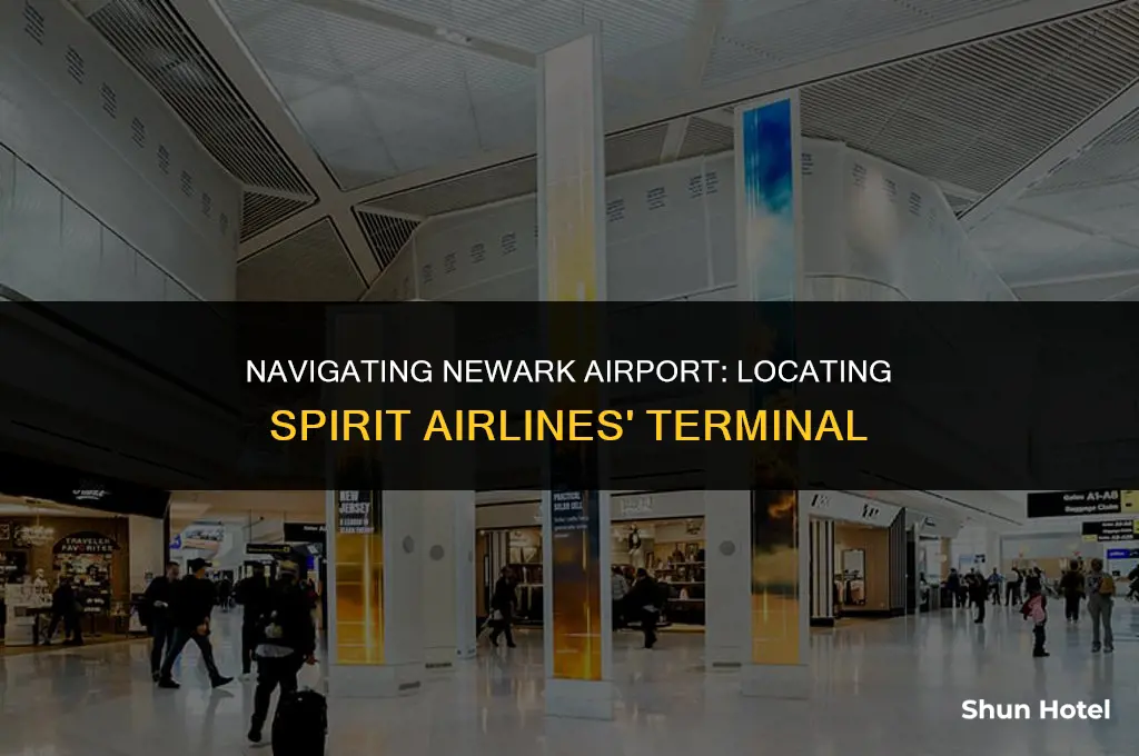 which terminal is spirit airlines at newark airport