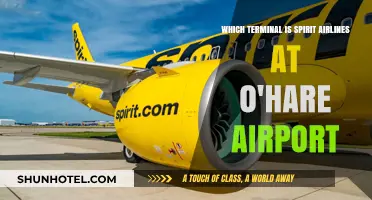 Navigating O'Hare: Unveiling Spirit Airlines' Terminal Location