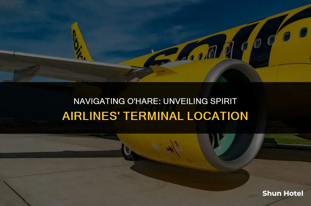 which terminal is spirit airlines at o