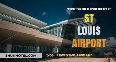 Exploring St. Louis Airport: Spirit Airlines Terminal Guide