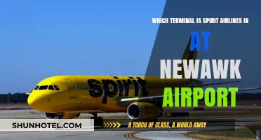 Exploring Newark Airport: Spirit Airlines' Terminal Guide