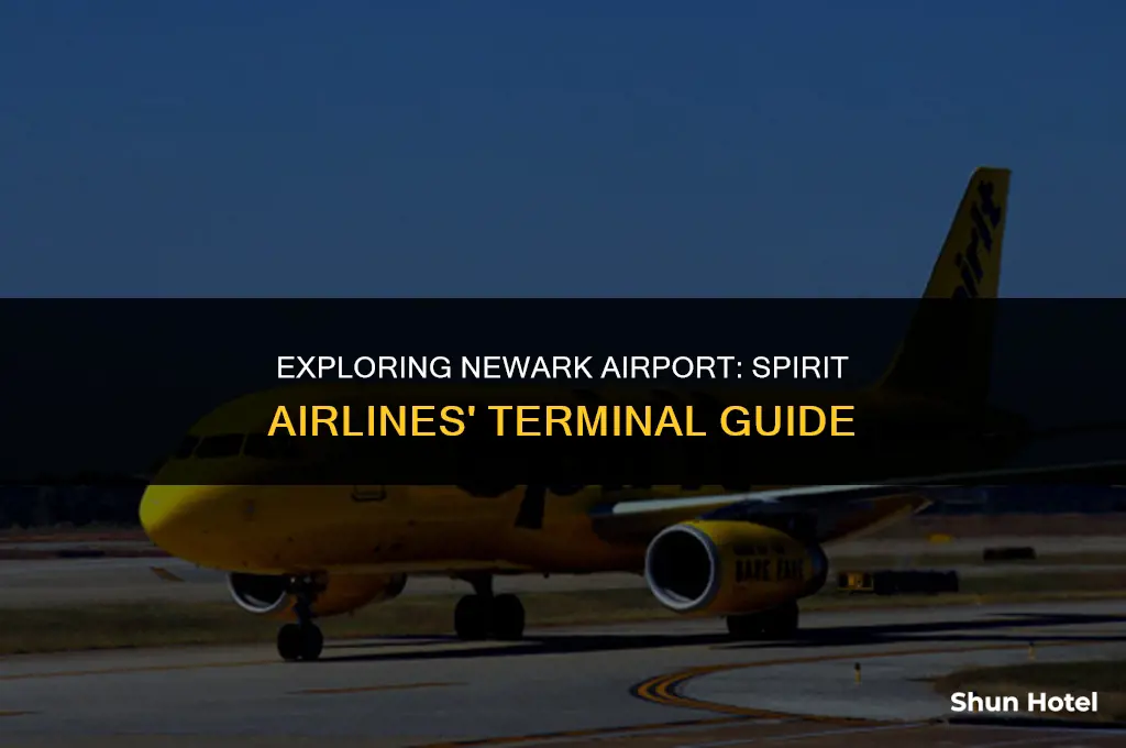 which terminal is spirit airlines in at newawk airport