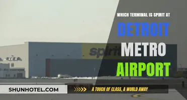 Navigating Detroit Metro: Unveiling Spirit Airlines' Terminal Location