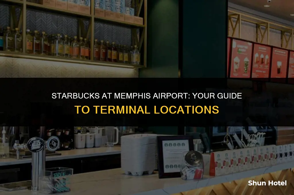 which terminal is starbucks in memphis airport