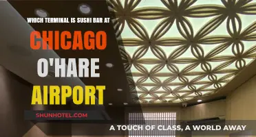 Discovering Sushi Delights at Chicago O'Hare Airport: A Terminal Guide