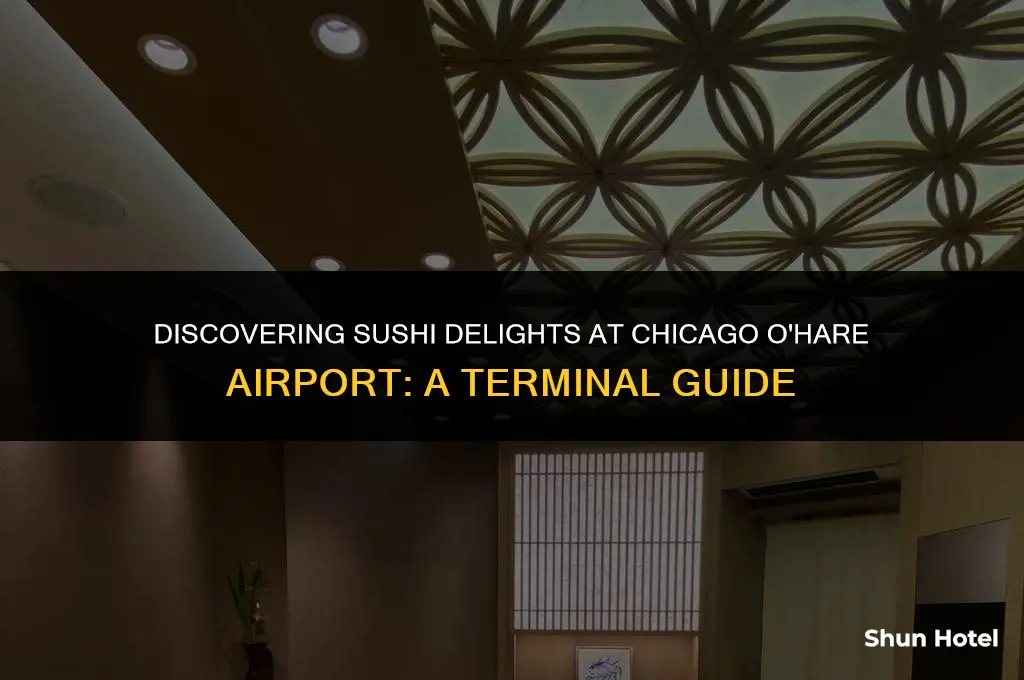 which terminal is sushi bar at chicago o