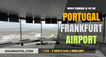 Exploring Frankfurt Airport: Your Guide to TAP Air Portugal's Terminal