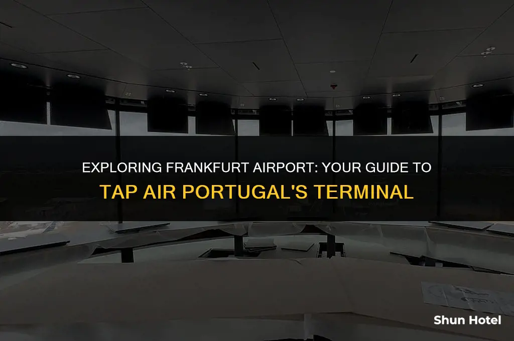 which terminal is tap air portugal frankfurt airport