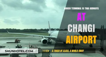 Exploring Changi: Thai Airways' Terminal Guide for Travelers