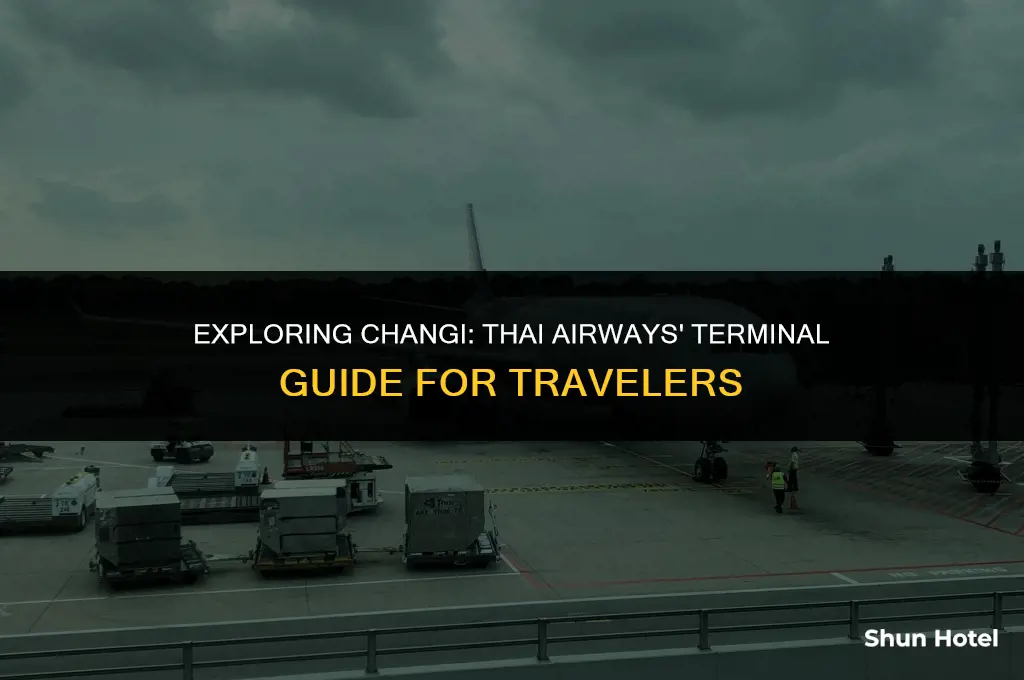 which terminal is thai airways at changi airport
