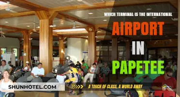 Papetee International Airport Terminal Guide: Where to Fly Globally